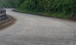 Recuperacion Melissa