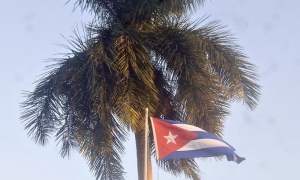 Cuba Libre, Palma Real y la Bandera Cubana.