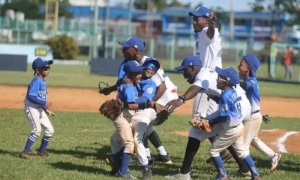  Copa de Pequeñas Ligas 