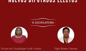 nuevos diputados