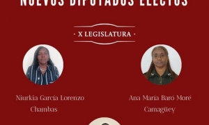 nuevos diputados