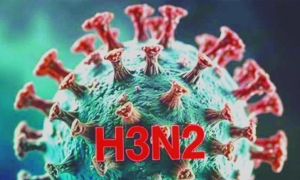 gripe H3N2