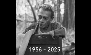 Raúl Enríquez Zerquera