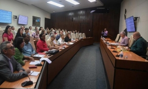 Modelos matemáticos predicen control de la epidemia para inicio de año