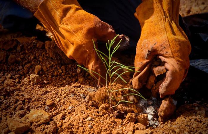 Proyecto contribuye a la protección ambiental en Holguín 