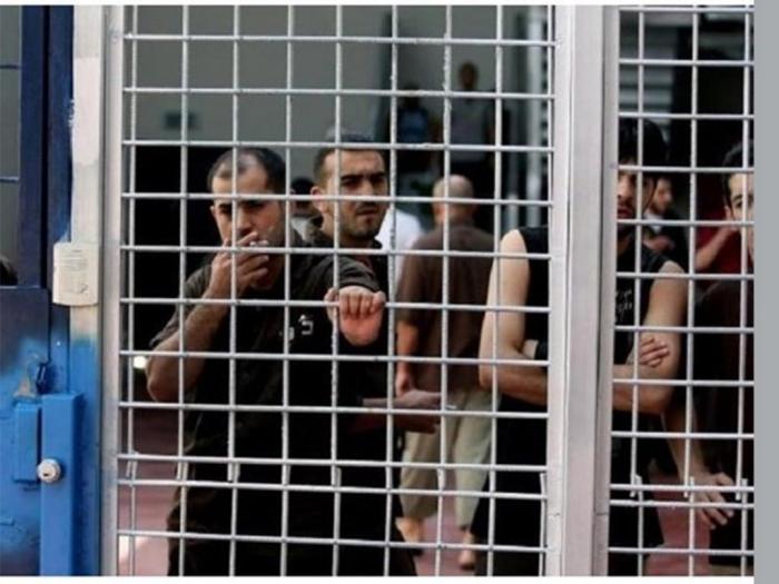 nueve mil 350 palestinos