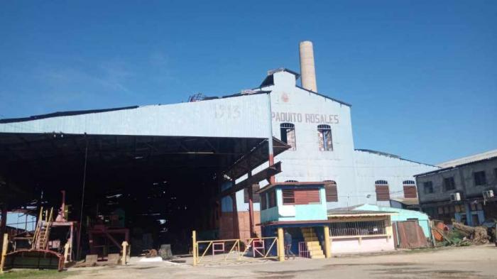 Prevén un aumento en la producción de derivados de la caña azúcar