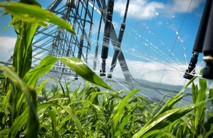 agricultura regadío 