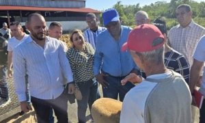 Vicepresidente cubano 