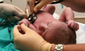 observatorio científico de riesgos asociados al PAMI