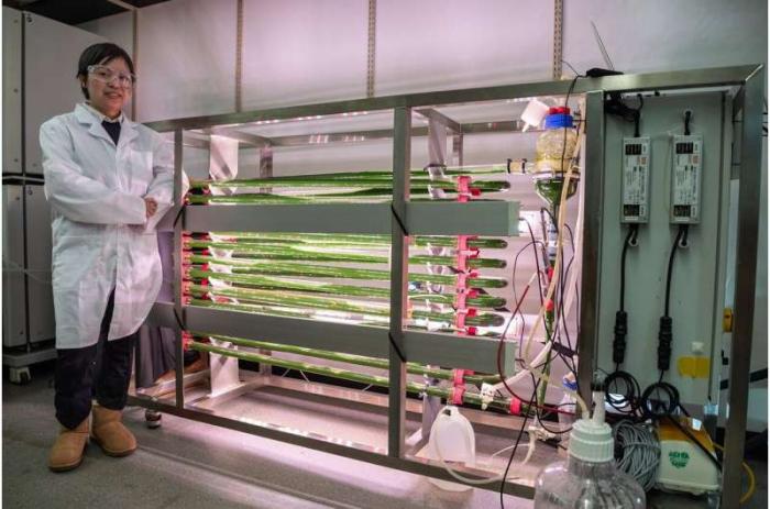 Científicos prueban un innovador método para eliminar microplásticos del agua 