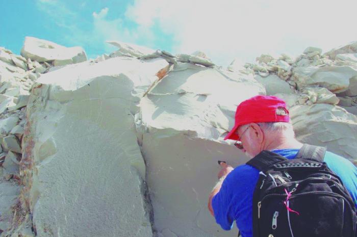 Estas capas rocosas existentes en el Mariel están vinculadas al impacto del meteorito de Chicxulub hace 66 millones de años. FOTO: CORTESÍA DEL ENTREVISTADO