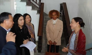 delegación china en el BNC