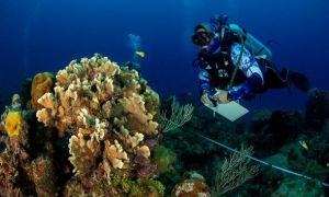 programas de ciencia e innovación