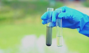 Crean fotocatalizadores verdes para la purificación del agua FOTO TOMADA DE TV BRICS