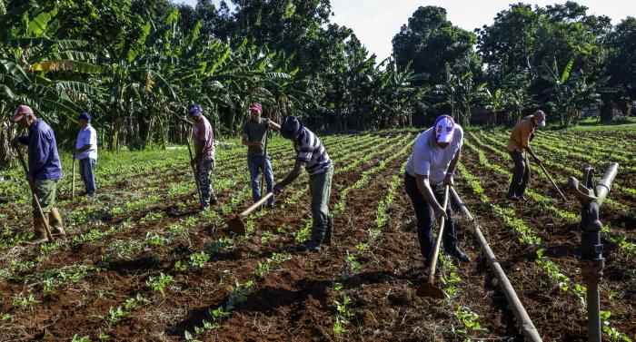 ¡Patrio o Muerte! expresa la resistencia de un pueblo que ha aprendido a crecer a contrapelo de las dificultades.
