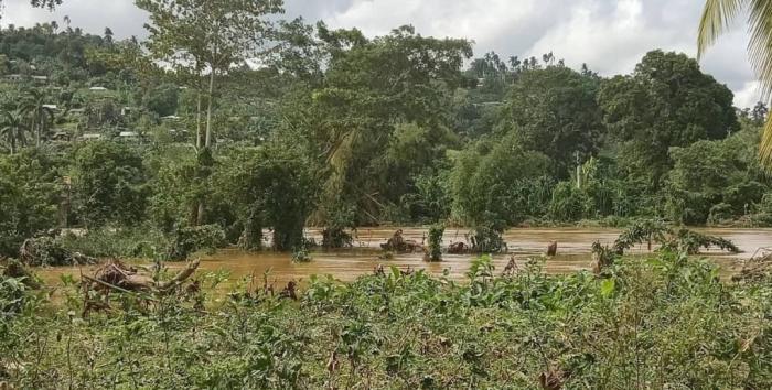 Estampa de la más reciente crecida del Miel. 