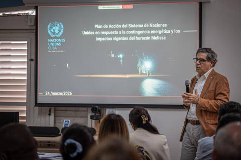  Plan de Acción Ampliado