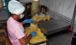 minindustrias para la conservación de alimentos