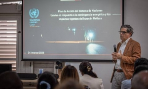  Plan de Acción Ampliado