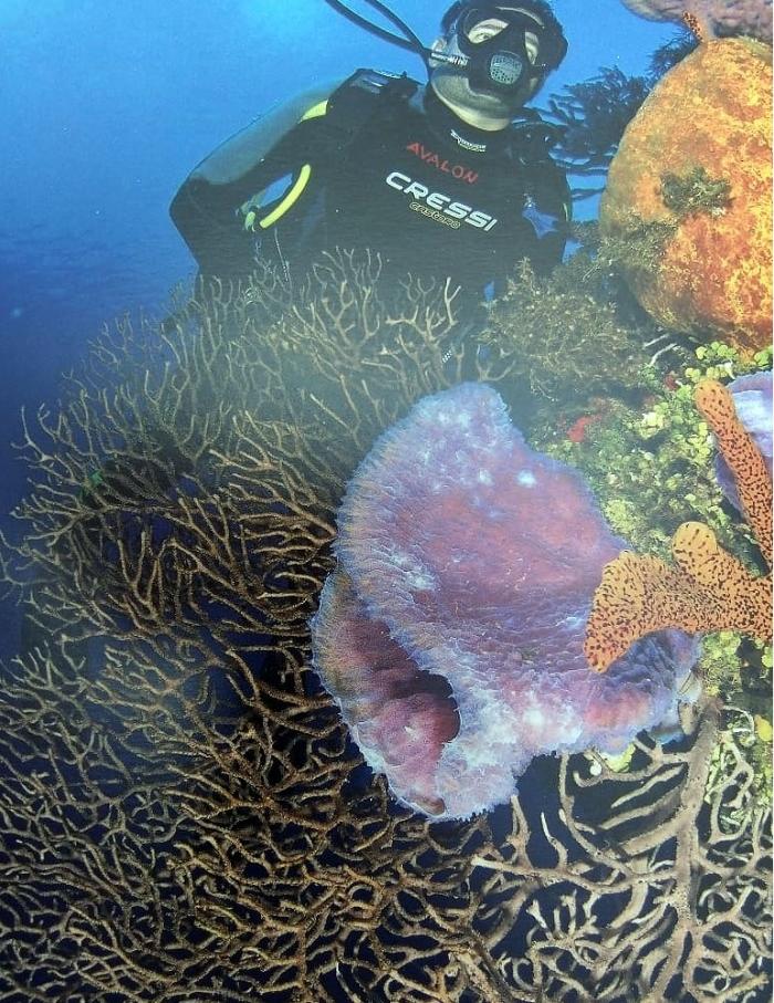 Jardines de la Reina fue bautizado así por Cristóbal Colón, en honor a la reina de España, Isabel I de Castilla.
