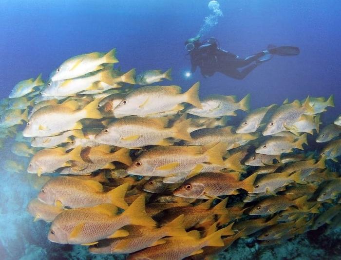 El Parque Nacional, se ubica al sur de las provincias de Camagüey, Ciego de Ávila y Sancti Spíritus
