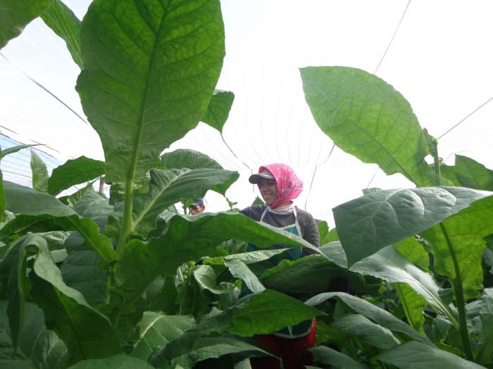 Lo primero es asegurar esto.

