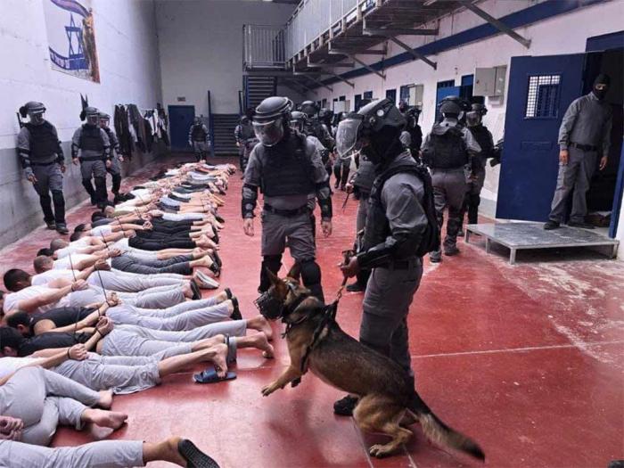 Las organizaciones firmantes exigen una intervención inmediata de la comunidad internacional para detener lo que consideran una «violencia sistemática y declarada» contra la población encarcelada. 