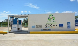 Viajar «sobre cerdos»