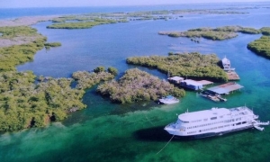 Jardines de la Reina demuestra que la conservación efectiva es posible