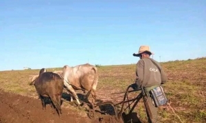 Agricultura Santiago