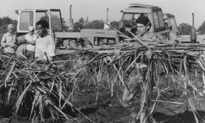 El Presidente cubano, Miguel Díaz-Canel Bermúdez, durante sus años en la UJC. 