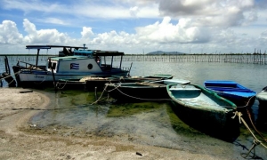 Pesca Bolivia: un reconocimiento en tiempo de marea baja