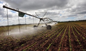 De acuerdo con la FAO, si el conflicto persiste en el Estrecho de Ormuz, se deberán considerar medidas preventivas, para evitar un agravamiento de los problemas alimentarios.