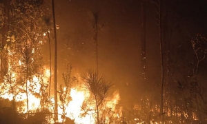 La prolongada sequía y la intensidad del viento han complicado sobremanera el combate a las llamas