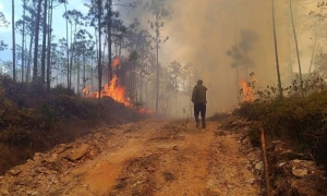 Incendio Forestal