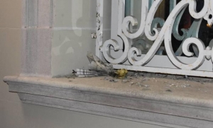 Atentado a embajada cubana en Washington