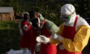 virus del Bundibugyo