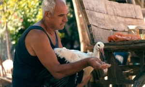 Imagen del filme de 2025