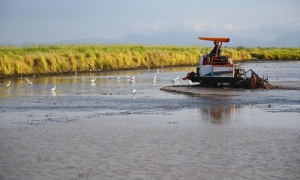 Arroz Cuba-Vietnam