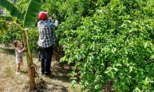 La finca de Eulogio es un remanso de paz y juegos para los pequeños y sus cuidadoras. 