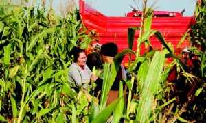 Quien tenga tierras y solicite más debe tener explotadas las que ya posee. foto: Juvenal Balán	
