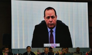  Reunión Ministerial de Salud de los BRICS