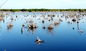 Embalses al 46 % 