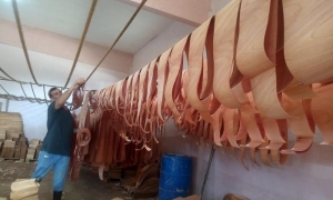 Mi máquina tiene la particularidad de que puede lograr la lámina con la exactitud que requiere
cada habano. FOTO DEL AUTOR