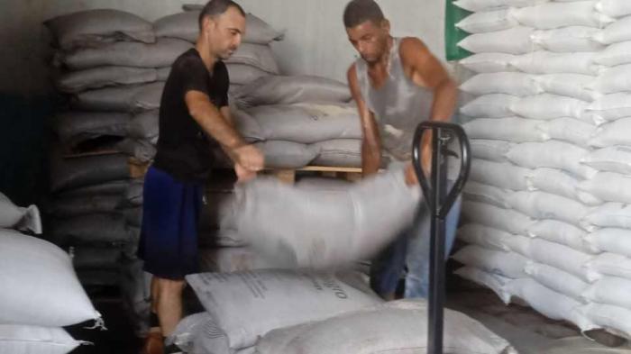alimentos