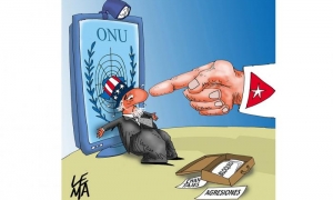 eua onu