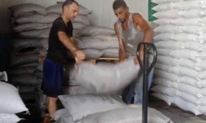 alimentos