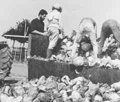 vi8-2.jpg (8861 bytes)