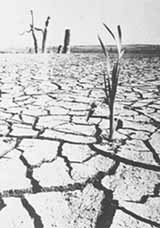 ju3-1.jpg (8343 bytes)